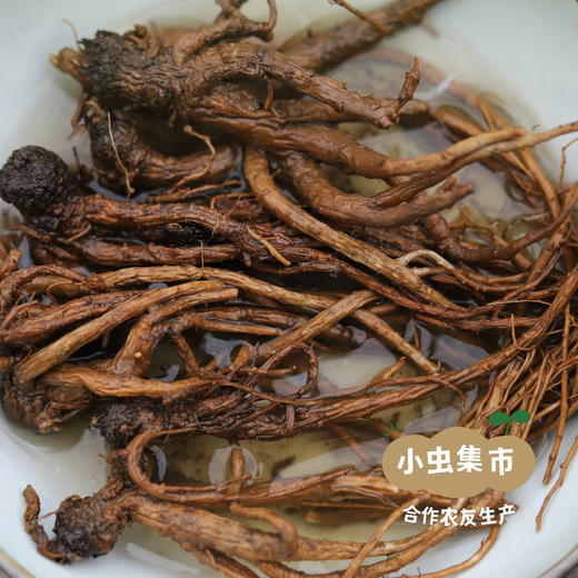 生态藏当归 250g/袋 | 合作农友生产，来自四川兴宝，生产者：闵国康 ＆【公平贸易农人定价】 商品图9