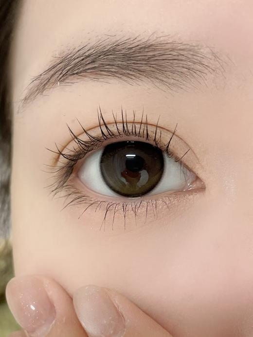 Bariecat日抛·芝麻豆乳·14.5mm中大着色·10片日抛 商品图11