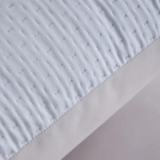 GRACE SPACE格调空间 浅蓝蓬弹纤维枕 亲肤抗菌枕头 商品图5