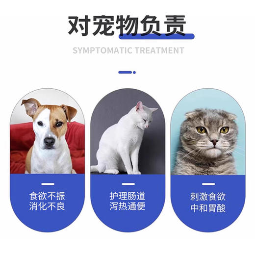 胃肠通-大黄氢钠片 商品图2