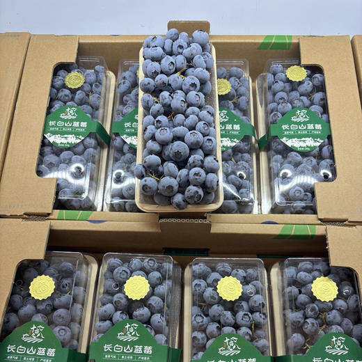 长白山蓝莓大果一盒200g 商品图0