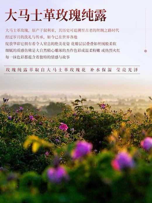 【云南】玫瑰纯露500ml 商品图1