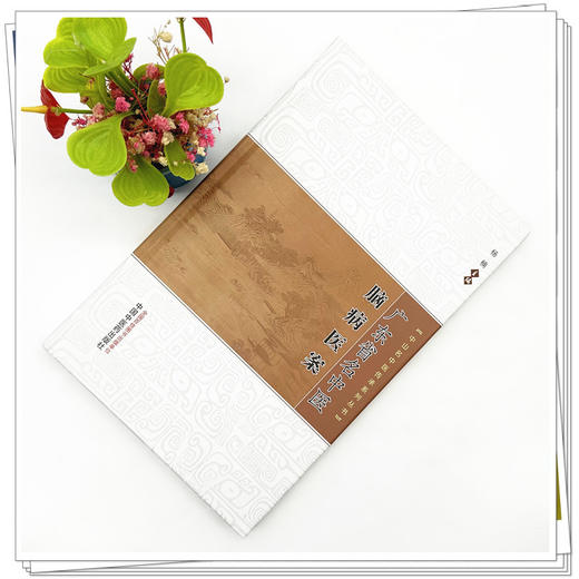 广东省名中医脑病医案 杨楠 主编 中山名中医传承系列丛书 中国中医药出版社 中医临床书籍 商品图1