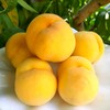 #基地直发#【严选】山东沂蒙黄金水蜜桃 精选品质甜糯黄毛桃 鲜甜水蜜桃新鲜水果 商品缩略图0