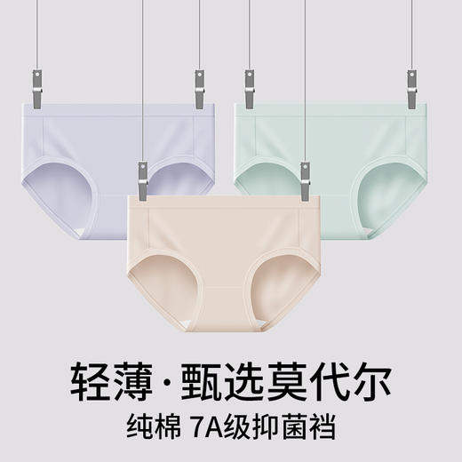 草本初色铂金莫代尔星期裤BK1619 商品图1