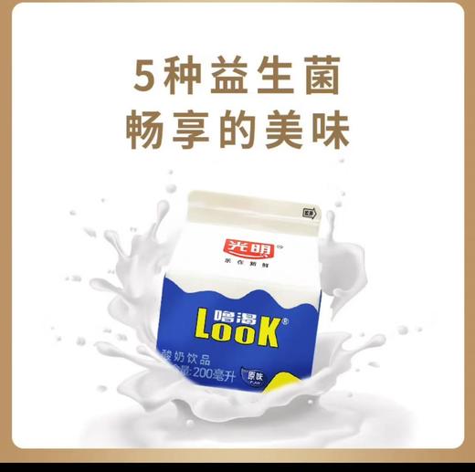 【酸甜口感】光明噜渴LOOK 原味酸奶200ml*12盒 活性益生菌酸牛奶饮品常温 商品图0