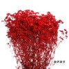 干花 | 满天星红 商品缩略图3