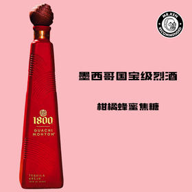 1800 观奇蒙顿（Guachimonton）陈年龙舌兰墨西哥烈酒