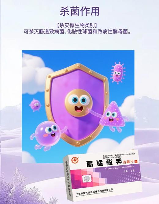 消证字 高锰酸钾消毒片    12片x2板/盒  有效期20281005 商品图8