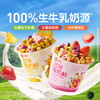 搅拌酸奶杯(菠萝蜜谷物)190g 商品缩略图0