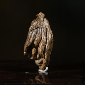 BC.HE6.30-6   西马沉水(佛手)，0.83g