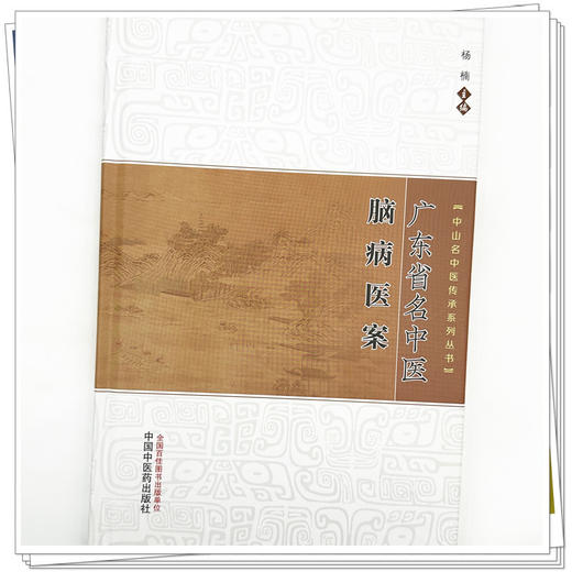 广东省名中医脑病医案 杨楠 主编 中山名中医传承系列丛书 中国中医药出版社 中医临床书籍 商品图3