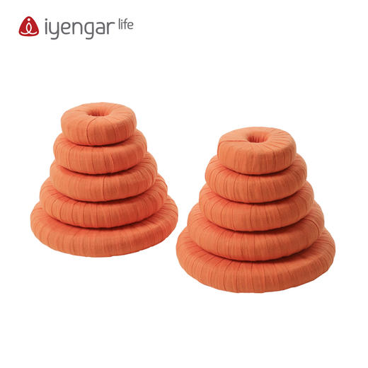 艾扬格 Life A2015春板（10个装）/稳定坐骨辅具/体式辅助 商品图0