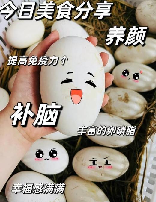 双黄大鹅蛋（6枚装） 商品图2