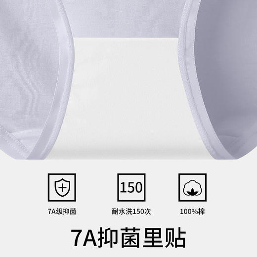 草本初色铂金莫代尔星期裤BK1619 商品图5