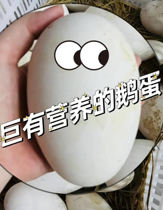 双黄大鹅蛋（6枚装） 商品图3