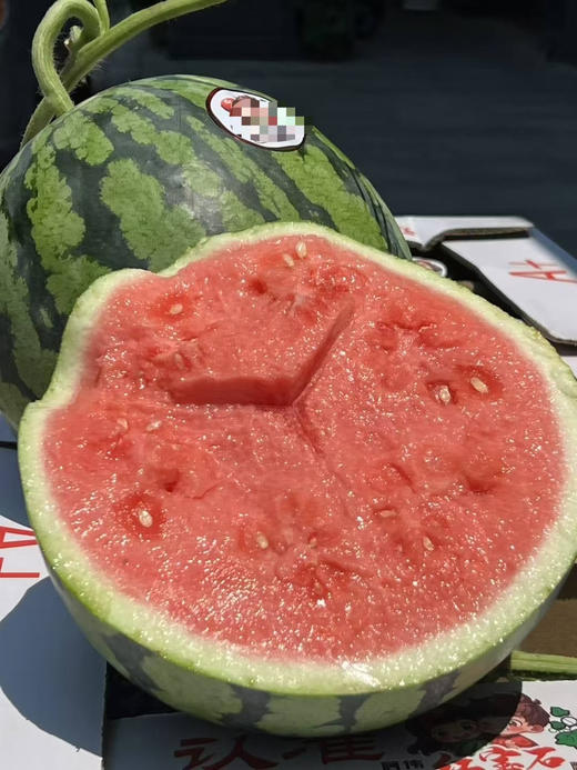 脆甜麒麟西瓜，2号箱 商品图8