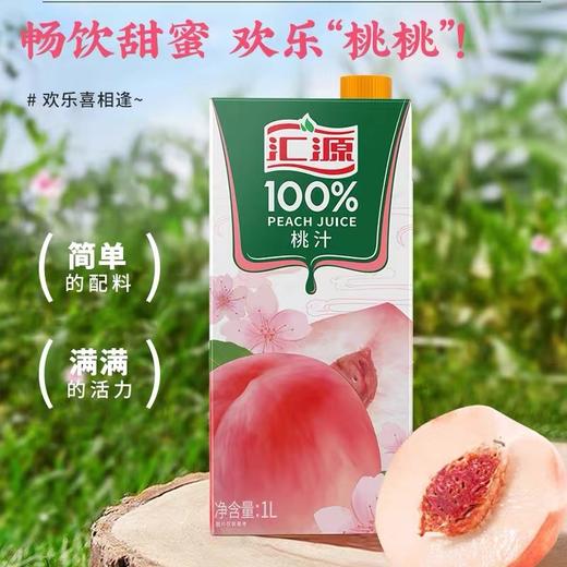 汇源果汁1l装 商品图0