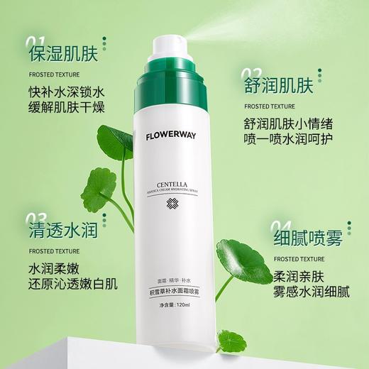 【买1送1 积雪草面霜补水喷雾】保湿控油温和不刺激爽肤水120ml 商品图2