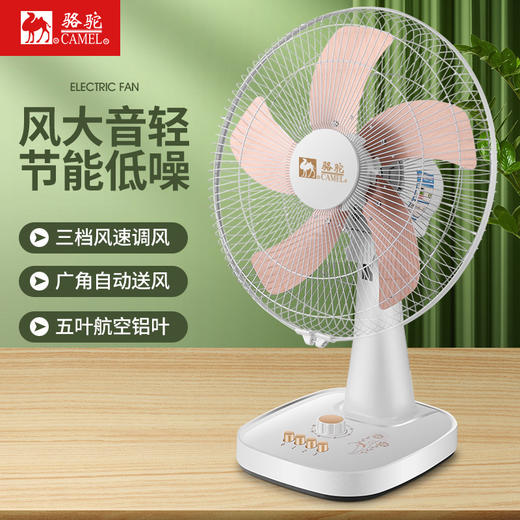 【骆驼电风扇台式家用】16寸台扇 宿舍学生办公室超强风力定时摇头  商品图0