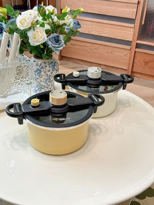 品牌退出中国市场疯狂清❗仅139❗原价539❗坏了直接换新❗德国百年国宝级厨具【德世朗马卡龙色6L钛合金涂层珐琅微压锅】焖煮炖煲样样精通 商品图5