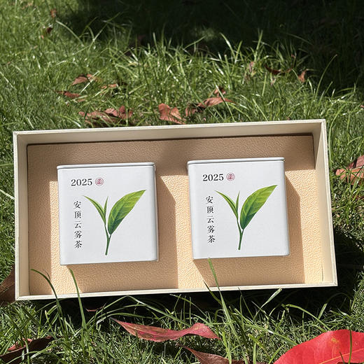 绿茶（安顶云雾茶） 商品图1