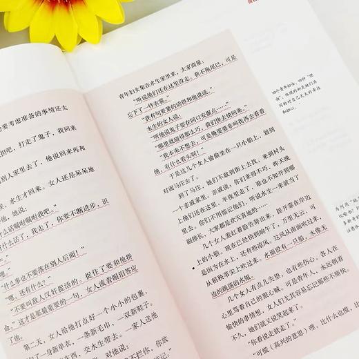 红色经典阅读丛书15册任选【小英雄雨来 小游击队员 闪闪的红星 可爱的中国 红色家书 白洋淀纪事 刘胡兰传】 商品图3