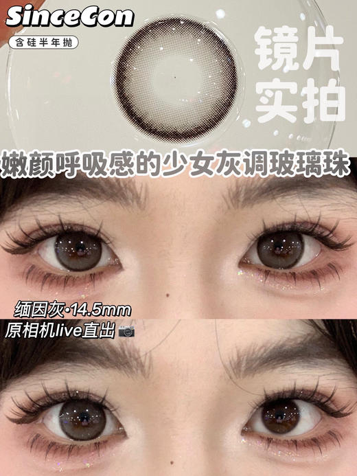 sincecon 半年抛【缅因灰】14.5mm 商品图1