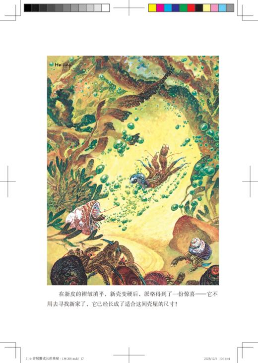 《划桨入海:自然冒险家笔记》全4册 8-12岁 纽伯瑞奖+凯迪克奖获奖作品 感受别样的沉浸式纸上自然冒险 商品图4