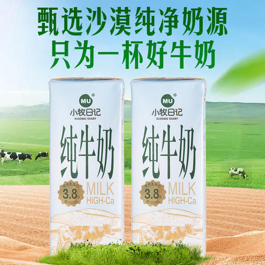 严选 | 小牧日记内蒙古纯牛奶 200ml*10盒/箱 蛋白质含量3.8克 配料表只有生牛乳 商品图1