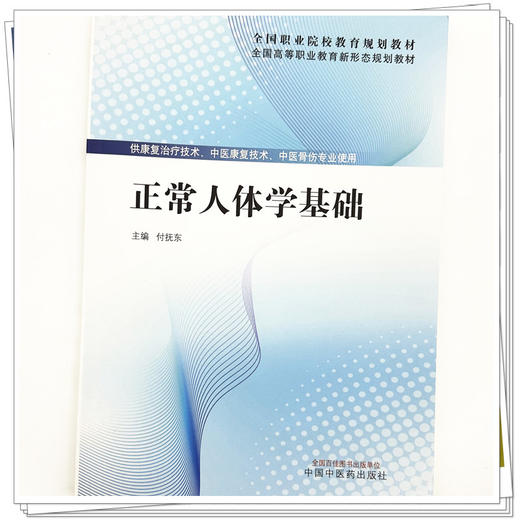正常人体学基础 付抚东 主编 全国高等职业教育新形态规划教材 中国中医药出版社 供康复治疗技术 中医骨伤专业使用 商品图3