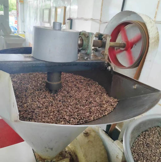 【野生青刺果油】 物理冷压榨/高级天然植物食用油|被誉可以吃的化妆品| 今年新榨包邮 商品图7