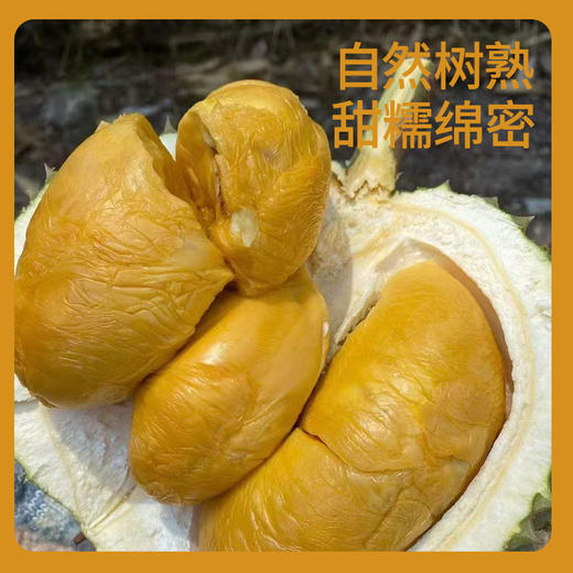 【鲜果直发】正宗马来西亚黑刺/猫山王榴莲，原产地直发顺丰包邮，黄油般的丝滑，持久回甘，甜而不腻 商品图6