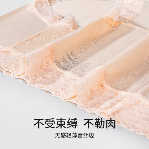 草本初色聚乳酸轻薄裤速干胶囊内裤602款 商品图5