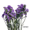 永生花材 | 勿忘我深紫 商品缩略图0