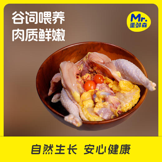 无抗黄油老母鸡 | 买二送一  99.9到手3只 ! 煲汤专用 养足400天 油黄汤也鲜 鲜鸡现杀肉质紧实 商品图7