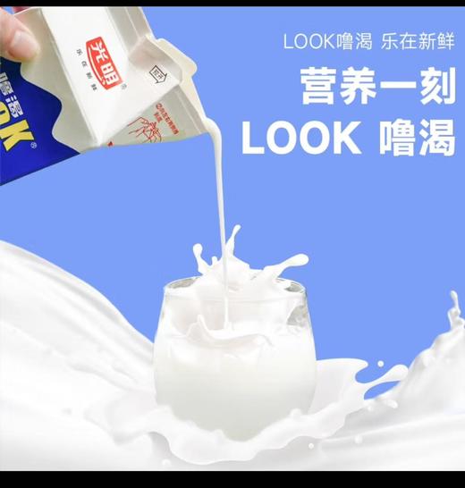 【酸甜口感】光明噜渴LOOK 原味酸奶200ml*12盒 活性益生菌酸牛奶饮品常温 商品图2