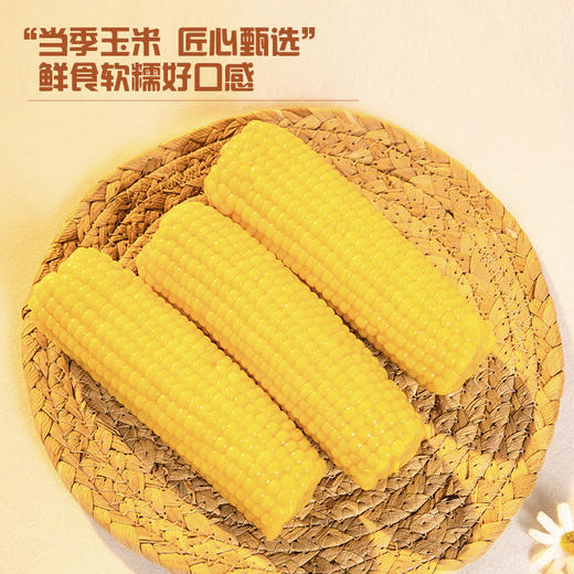甜糯玉米 220克*8 商品图6