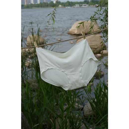 【3条装】 40S亲肤云感透气莫代尔内裤 细腻舒适 轻薄透气 中腰版型 立体包臀 商品图1