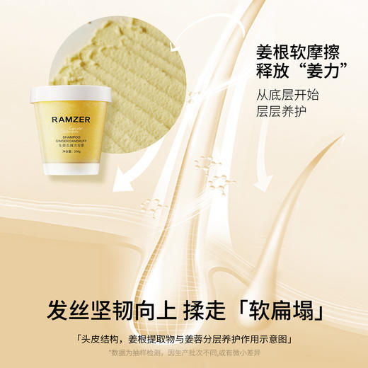 拍1发3瓶！【兰诗哲海盐生姜去屑洗发膏】一键告别油扁塌 250g/瓶 商品图3