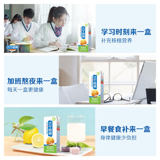 养元六个核桃营养植物蛋白饮料核桃乳250mL*12盒整箱 商品图2