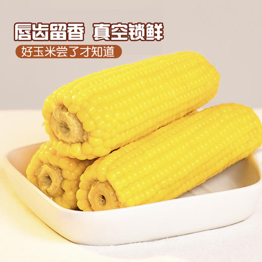甜糯玉米 220克*8 商品图5