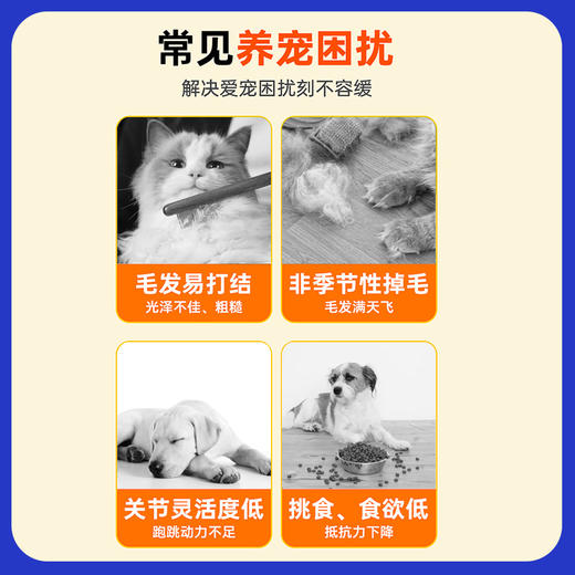 乳化鱼油猫咪毛发营养宠物南极磷虾油猫用按压式狗狗美毛护肤爆毛 商品图2