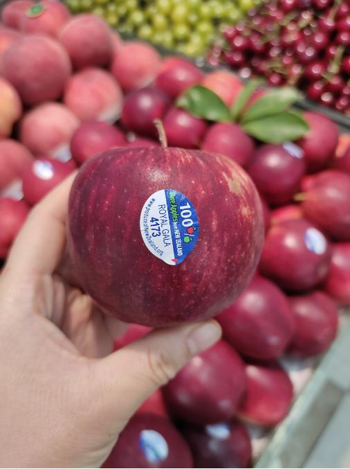 红玫瑰苹果一斤 商品图1