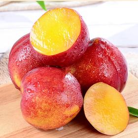 #基地直发#【严选】陕西红皮黄肉油桃【净重4.5-5斤（单果80-100g）1斤约5-7个】脆甜新鲜黄肉蜜桃非水蜜桃