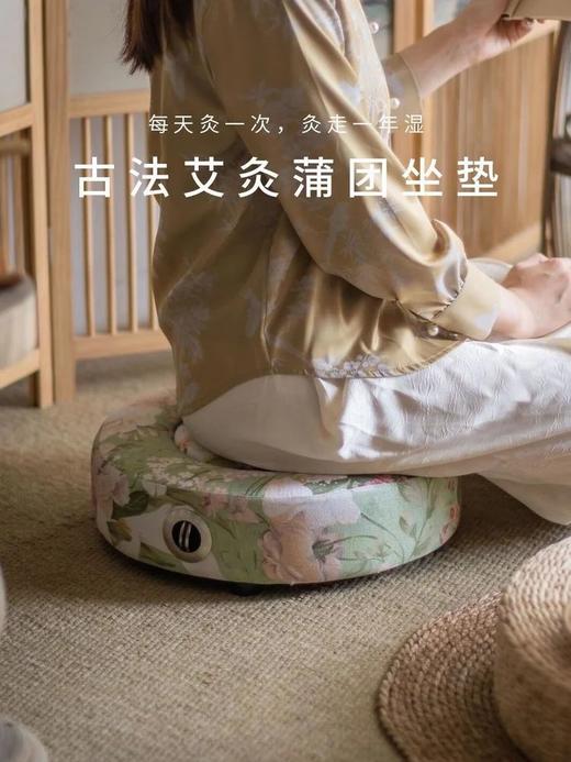 兰序艾灸坐垫蒲团大牌同款养生好物更大面积还能控温可移动养生馆基地直邮 商品图1