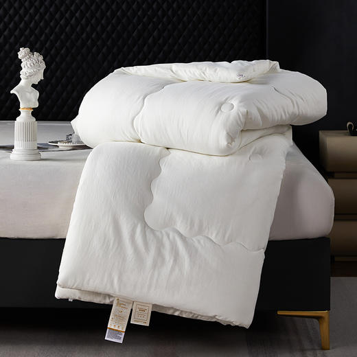 GRACE SPACE格调空间 舒柔暖绒云感四季被/保暖柔软冬被 商品图6