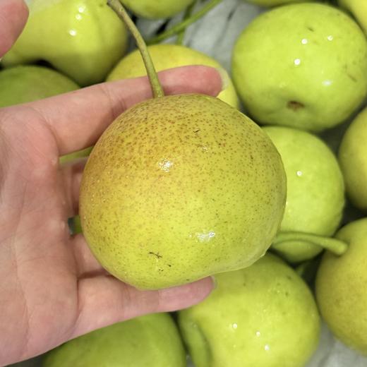 新鲜水果 甜润多汁 蜂糖梨小蜜梨  500g 商品图2