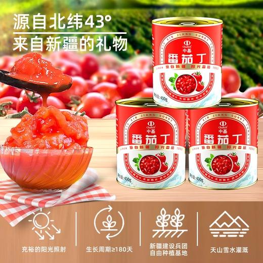 中基·番茄丁 300g 新疆日照番茄 配料只有番茄 商品图2