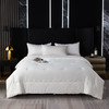 GRACE SPACE格调空间 舒柔暖绒云感四季被/保暖柔软冬被 商品缩略图0